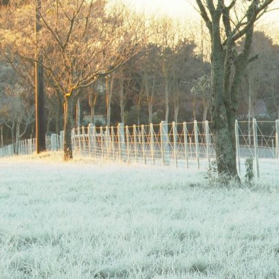 Frio intenso atinge o Centro-Sul e mínimas chegam a -7°C em cidades do Sul