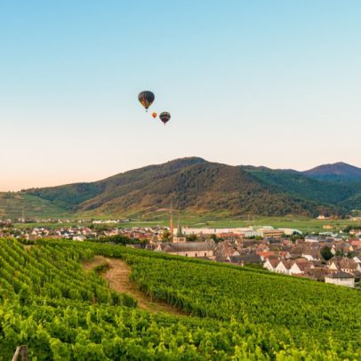 Descubra 20 vinhos da Alsácia por menos de 15 euros para o verão