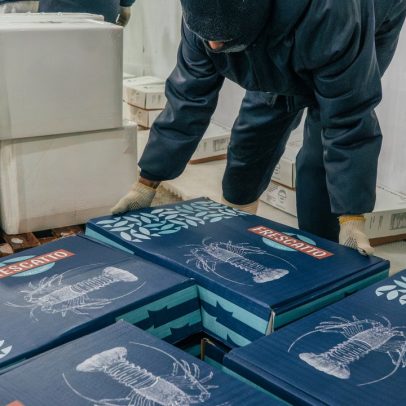Frescatto se prepara para enfrentar impacto financeiro com aumento de tarifas