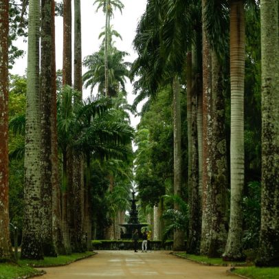 Ingressos do Jardim Botânico sobem de R$ 18 para R$ 40 e geram surpresa entre visitantes