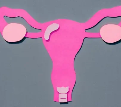 A mobilidade do útero é essencial para a saúde do sistema reprodutor feminino
