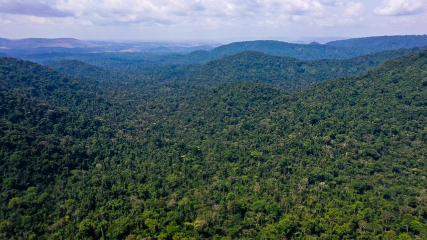 Das 65 áreas mais críticas para a biodiversidade, 50 têm gestão considerada fraca ou regular; especialistas defendem redirecionamento urgente de investimentos. (Foto: TV Brasil/Divulgação)