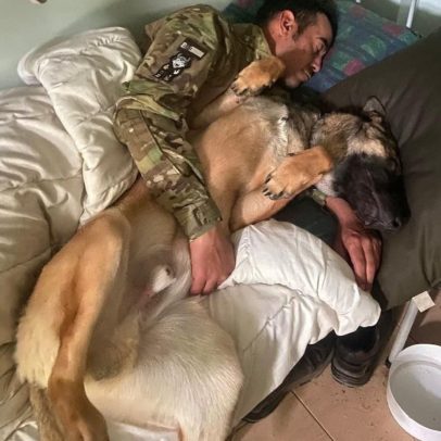 Soldado espanhol morto em Ucrânia é lembrado pela busca de seu cachorro 'Josy'