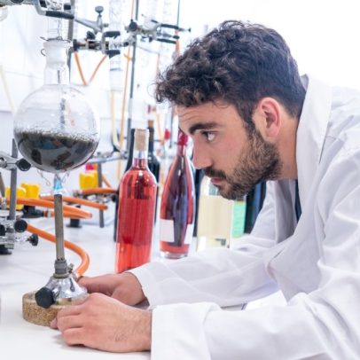 Cientistas monitoram diariamente a qualidade dos vinhos em Pessac