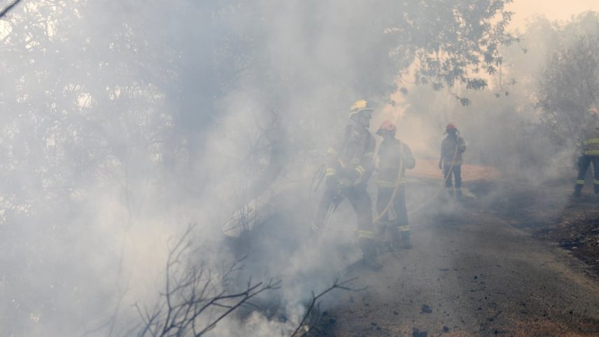 Bombeiros participam das labores de extinção do incêndio na localidade tarraconense de Xerta, nesta terça-feira. (Foto: Albert Garcia)