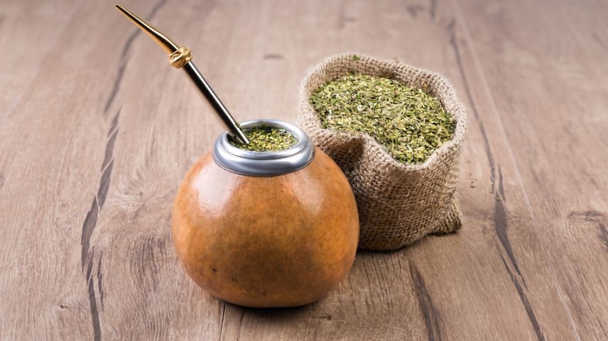 O chá mate é uma planta medicinal versátil, pois oferece diversos benefícios antioxidantes, que ajudam a combater os radicais livres (Foto: Adobe Stock)