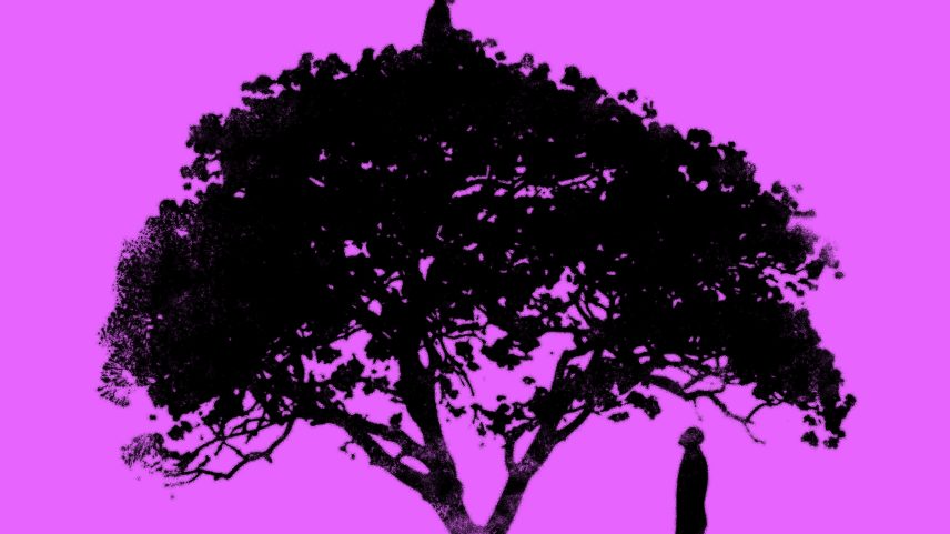 Ilustração de Riki Blanco para a capa do livro 'Jacarandá', de Gaël Faye, publicado pela editora 34 (Foto: Divulgação)