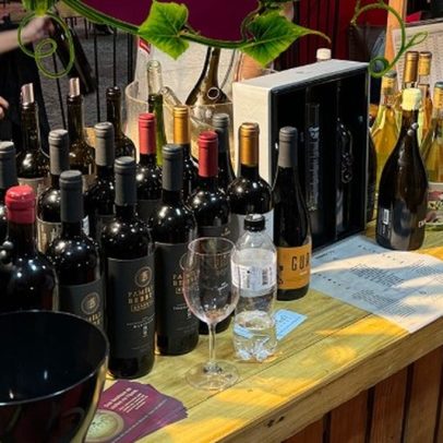 ViniBraExpo 2025 acontece de 15 a 17 de agosto na Barra com novidades imperdíveis