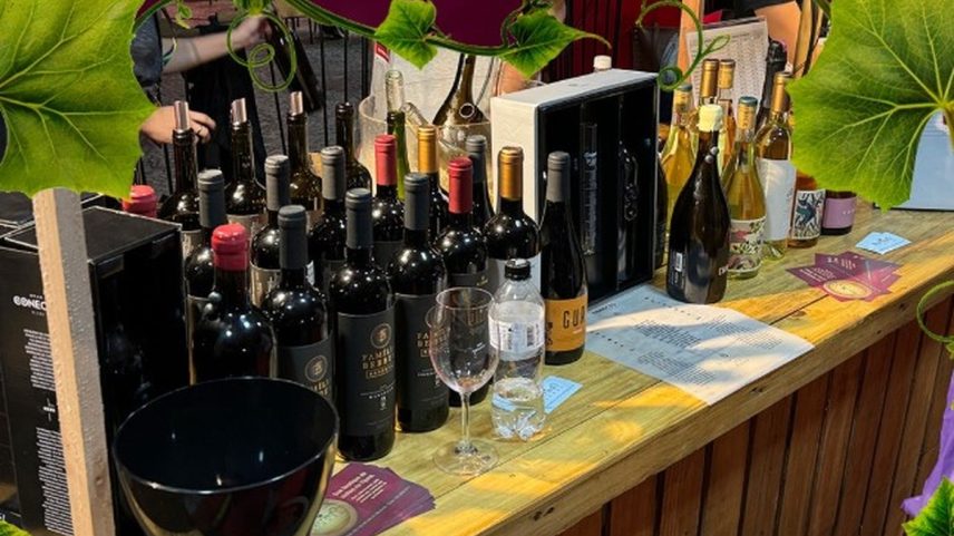 ViniBraExpo 2025 será de 15 a 17 de agosto na Barra (Foto: Reprodução @vinibraexpo)