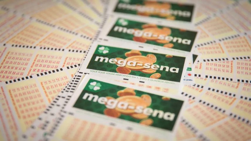 Bilhete volante loteria mega-sena mega sena versão 2018 — Foto: Marcelo Brandt/G1