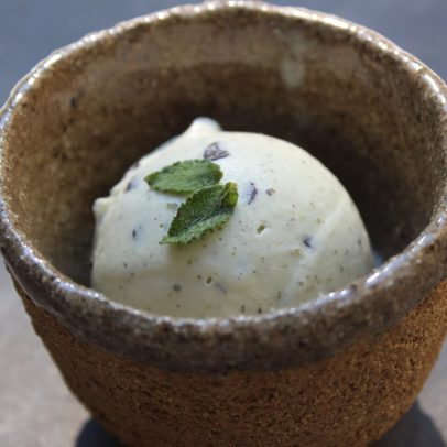 Aprenda a preparar um delicioso sorvete de menta silvestre com chocolate