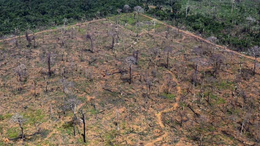 Área desmatada na Amazônia, perto de Porto Velho (RO) (Foto: Ueslei Marcelino - 6.fev.25/Reuters)