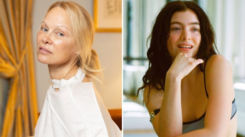 Pamela Anderson e Lorde (Foto: Reprodução/Instagram; Reprodução/LinkedIn)