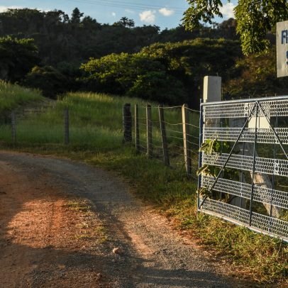 Casa do Porco celebra dez anos com alta gastronomia caipira e orgânica