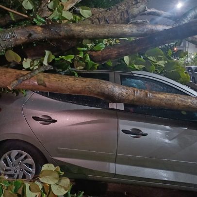 Ventania em São Paulo causa cancelamento de 8 voos e desvio de outros 9