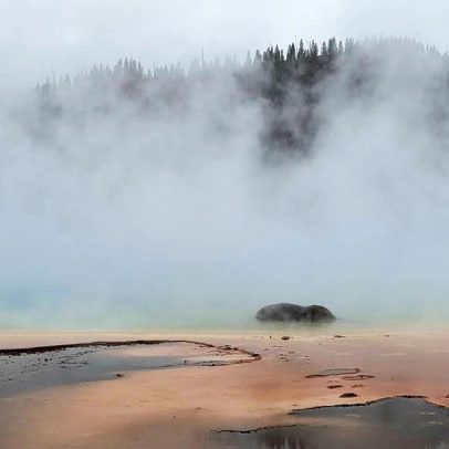 Bisão escorrega e morre em fonte termal de 89ºC nos Estados Unidos
