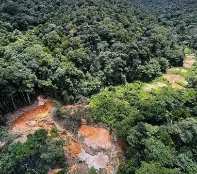 Degradação da Amazônia aumenta risco de pandemias e ameaça saúde global