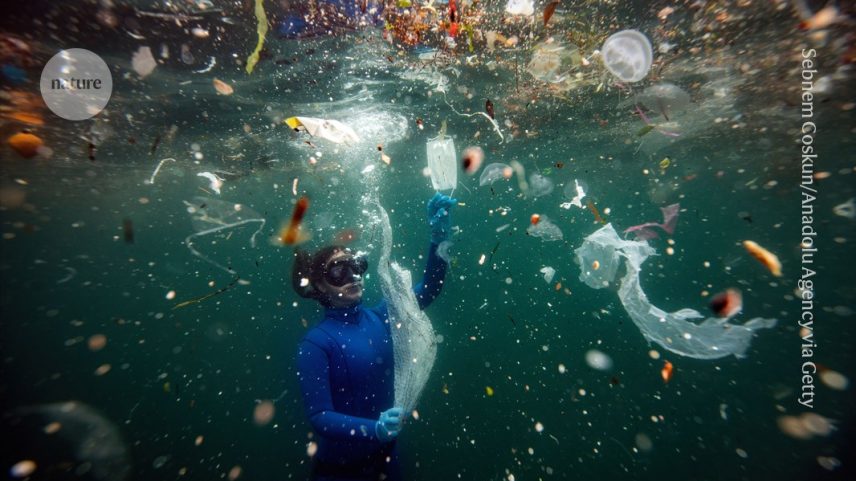 Sebnem Coskun/Anadolu Agency via Getty