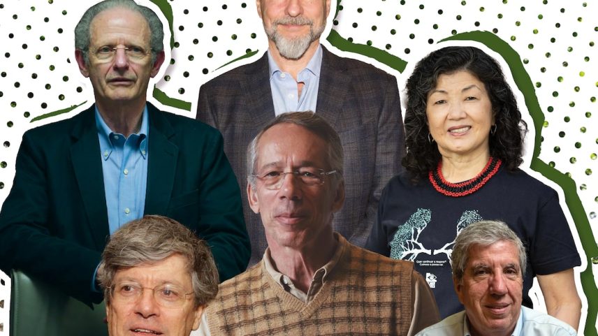 Pedro Wongtschowski, Roberto Klabin e Marcia Hirota. Embaixo, da esquerda para a direita: Horácio Lafer Piva, Candido Bracher e Fábio Barbosa. (Foto: COLAGEM DE THAIS BARROCO SOBRE FOTOS DE TABA BENEDICTO, NILTON FUKUDA, SILVANA GARZARO/ESTADÃO E LÉO BARRILARI/SOS MATA ATLÂNTICA)