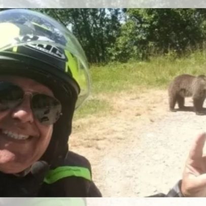Turista registra ataque fatal de ursa após alimentar filhotes em parque nacional