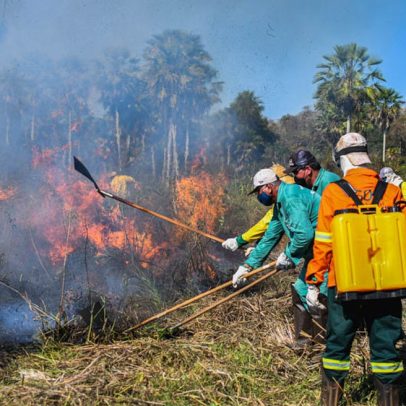 Governo destina R$ 150 mi do Fundo Amazônia para combater incêndios no Cerrado e Pantanal