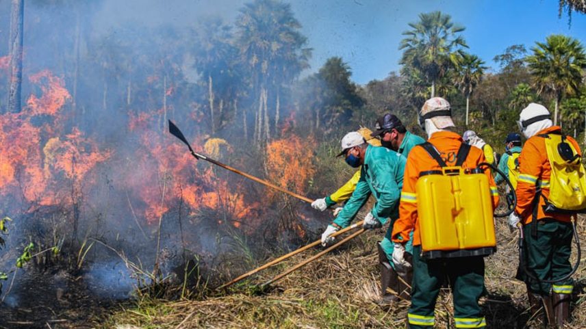 Brigadistas em combate ao fogo no Pantanal durante incêndios de 2024. (Foto: Divulgação/SOS Pantanal)