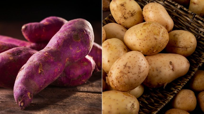 Tanto a batata-doce quanto a inglesa são excelentes fontes de carboidrato, têm quantidades de ferro, fibras e calorias parecidas (Foto: Reprodução/Pexels e Freepik)