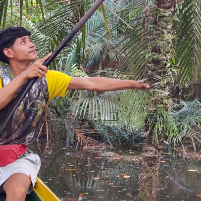 Alter do Chão capacita ribeirinhos para impulsionar turismo na COP30