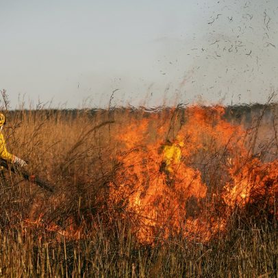 Brigadistas indígenas enfrentam incêndios florestais em batalha aérea heroica
