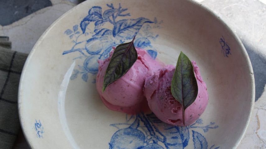 Sorvete caseiro de morango, beterraba e manjericão. Microgelateria Campo a través (Foto: Reprodução)