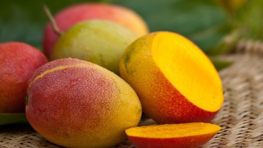 Manga, uva e polpa de açaí representam 90% do total exportado para os EUA (Foto: Ernesto de Souza/Editora Globo)