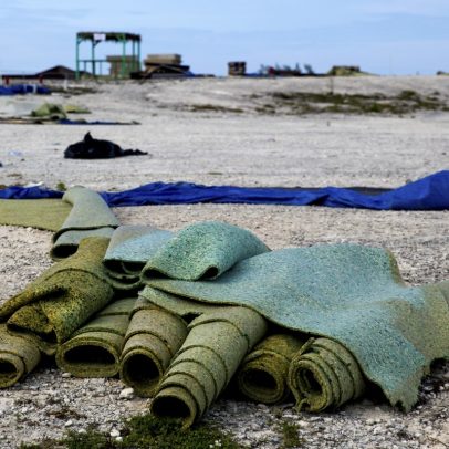 Marca do Fyre Festival, envolvido em escândalo, é leiloada no eBay