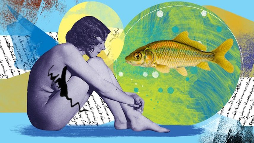 Signo de Aquário (Foto: Ilustração André Mello)