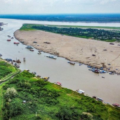 Estudo revela que efeito 'sapo fervente' obscurece a percepção da crise climática
