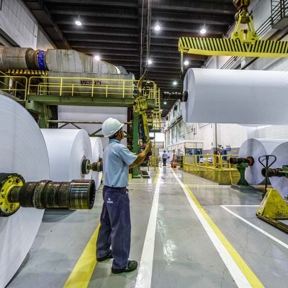 Suzano critica tarifas de Trump e busca alternativas para expandir vendas nos EUA