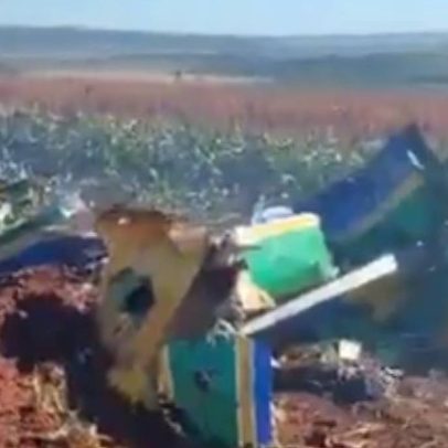 Avião da Esquadrilha da Fumaça cai em SP, mas piloto se ejetou e passa bem