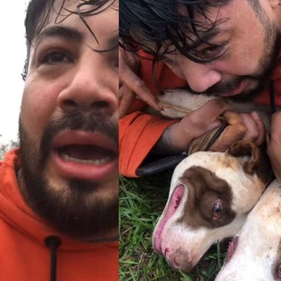 Especialista ensina técnicas eficazes para se proteger de ataques de cães perigosos