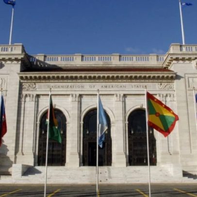 Brasil é denunciado na OEA por projeto que elimina perspectiva de gênero em julgamentos