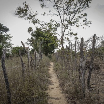 Justiça proíbe Suzano de expulsar quilombolas de terras no Espírito Santo