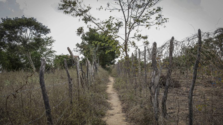 Foto de comunidade quilombola na cidade de Senhor do Bonfim, norte da Bahia (Foto: Bruno Santos/Folhapress)