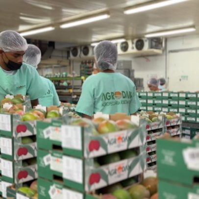 Exportadores de frutas do Vale do São Francisco enfrentam crise com tarifas dos EUA
