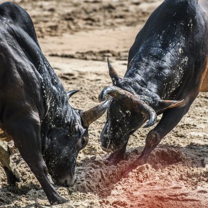 Cade concede prazo para Marfrig e BRF responderem a acusações da Minerva