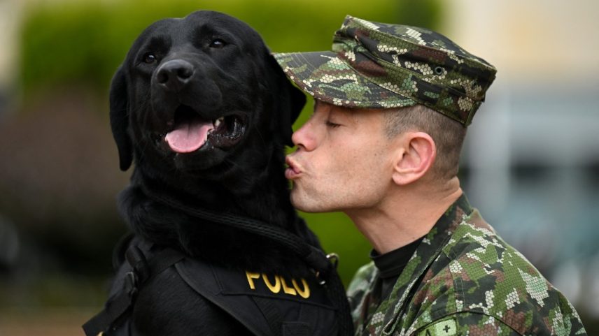 Cães terapeutas ajudam soldados feridos em hospital da Colômbia (Foto: Raul Arboleda/AFP)