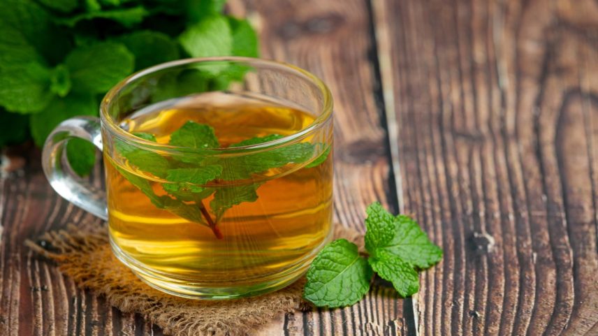 Erva com aroma e sabor cítricos (Foto: Freepik)