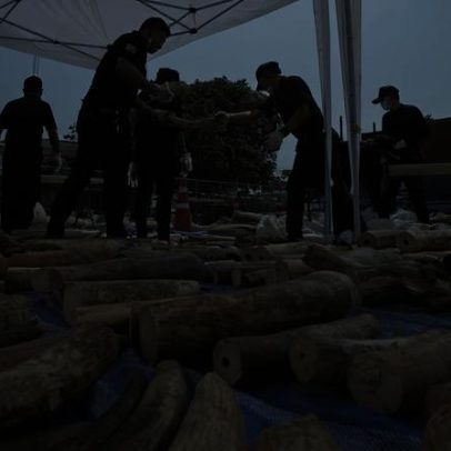 Lojas ilegais de vida selvagem no Laos fraudavam turistas chineses