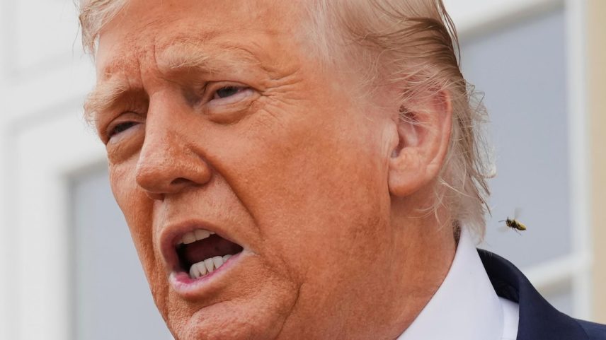 Donald Trump, presidente dos EUA, impôs tarifa de 50% a produtos brasileiros (Foto: Jacquelyn Martin/AP)