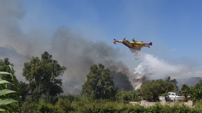 Trump diz que tarifa mínima para todos os países será 'de 15% ou 20%' (Foto: Reprodução)