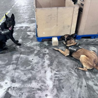 Receita Federal intercepta ecstasy escondido em lata de leite nos Correios do Rio