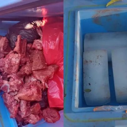 Trabalhadores são presos por trocarem vacinas contra sarampo por carne na Bolívia