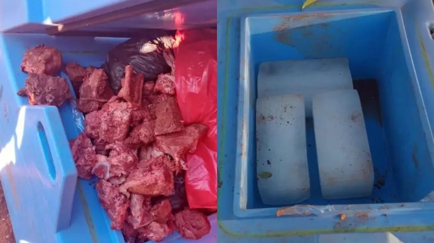 Trabalhadores substituíram 230 doses da vacina contra o sarampo por carne bovina (Foto: Reprodução)